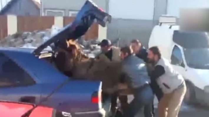 Doar în România: Patru bărbaţi au îndesat un măgar în portbagajul unei maşini